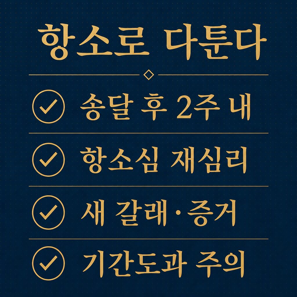 1심에서 졌다면 항소로 다툰다 — 항소기간 2주·항소심 재심리 이미지
